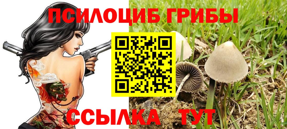 Псилоцибиновые грибы ЛСД  продажа наркотиков  Новочебоксарск  Вход с VPN  Галлюциногенные грибы Magic Shrooms 